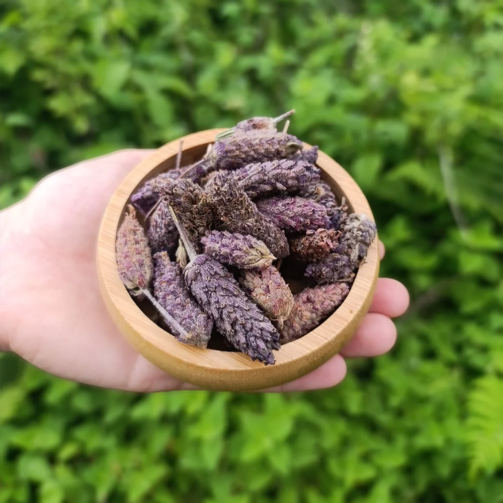 Karabaş Otu (1 kg)