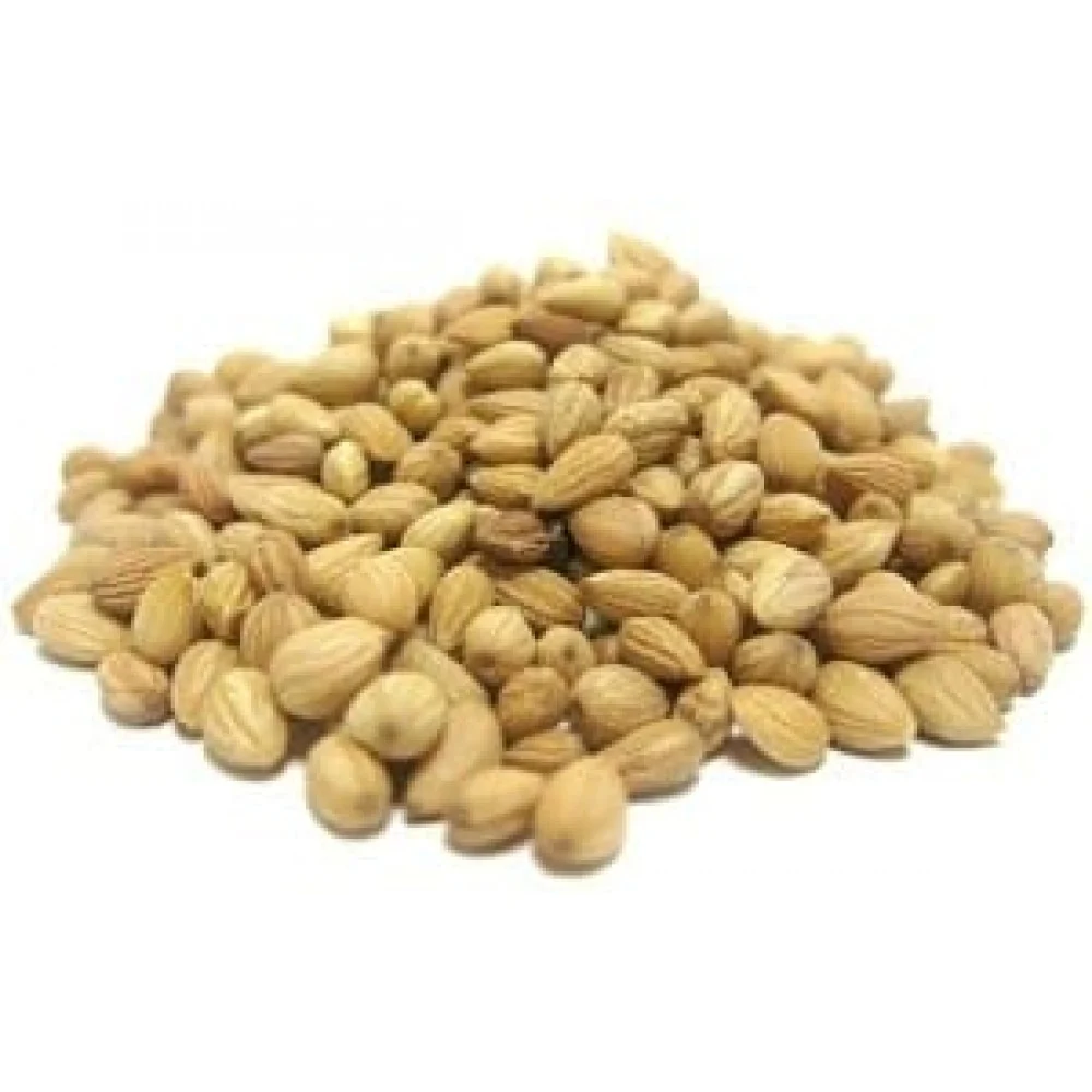 Mahlep (1 kg) - Görsel 2