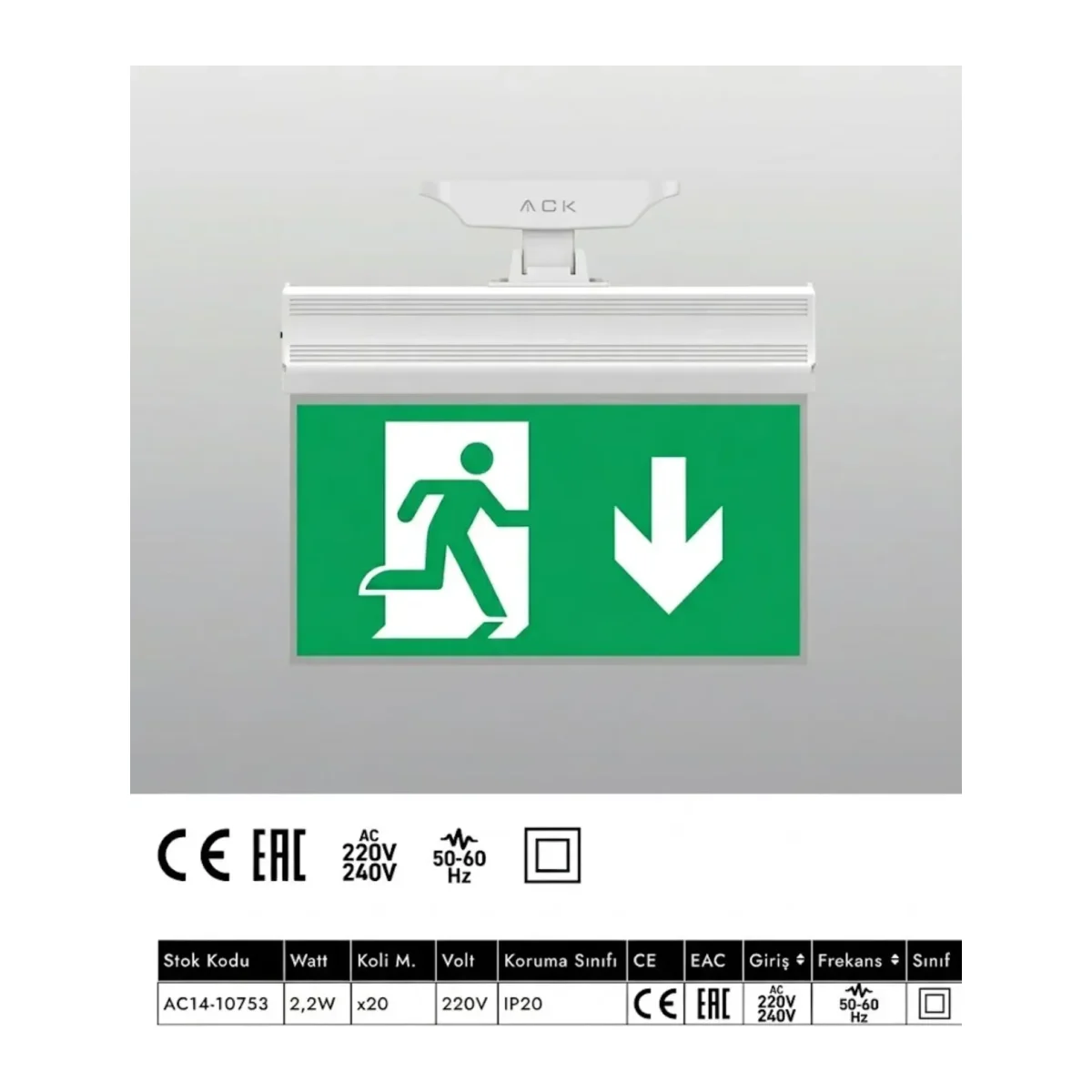 EXIT KOŞAN ADAM AŞAĞI OK