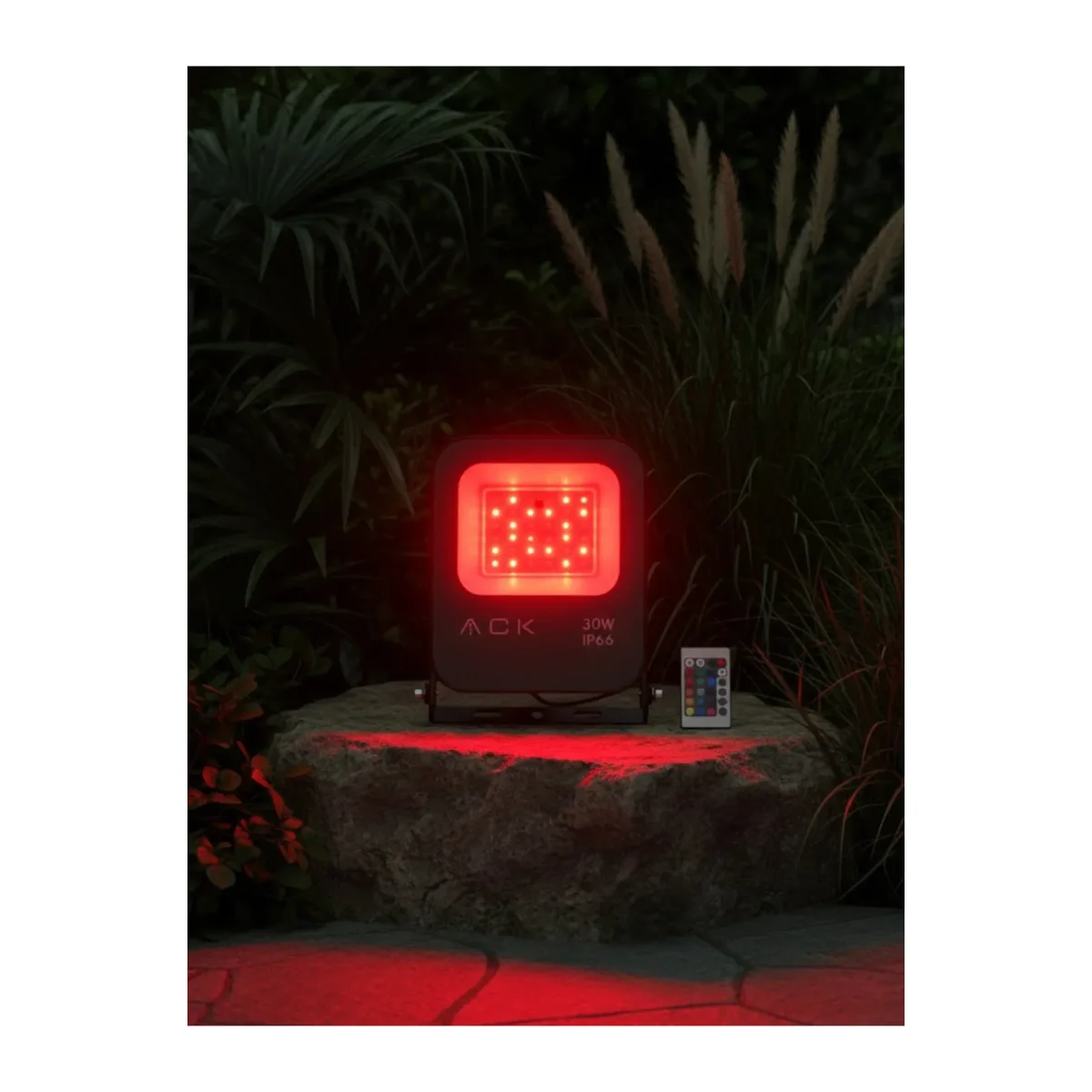 30W LED RGB Projektör