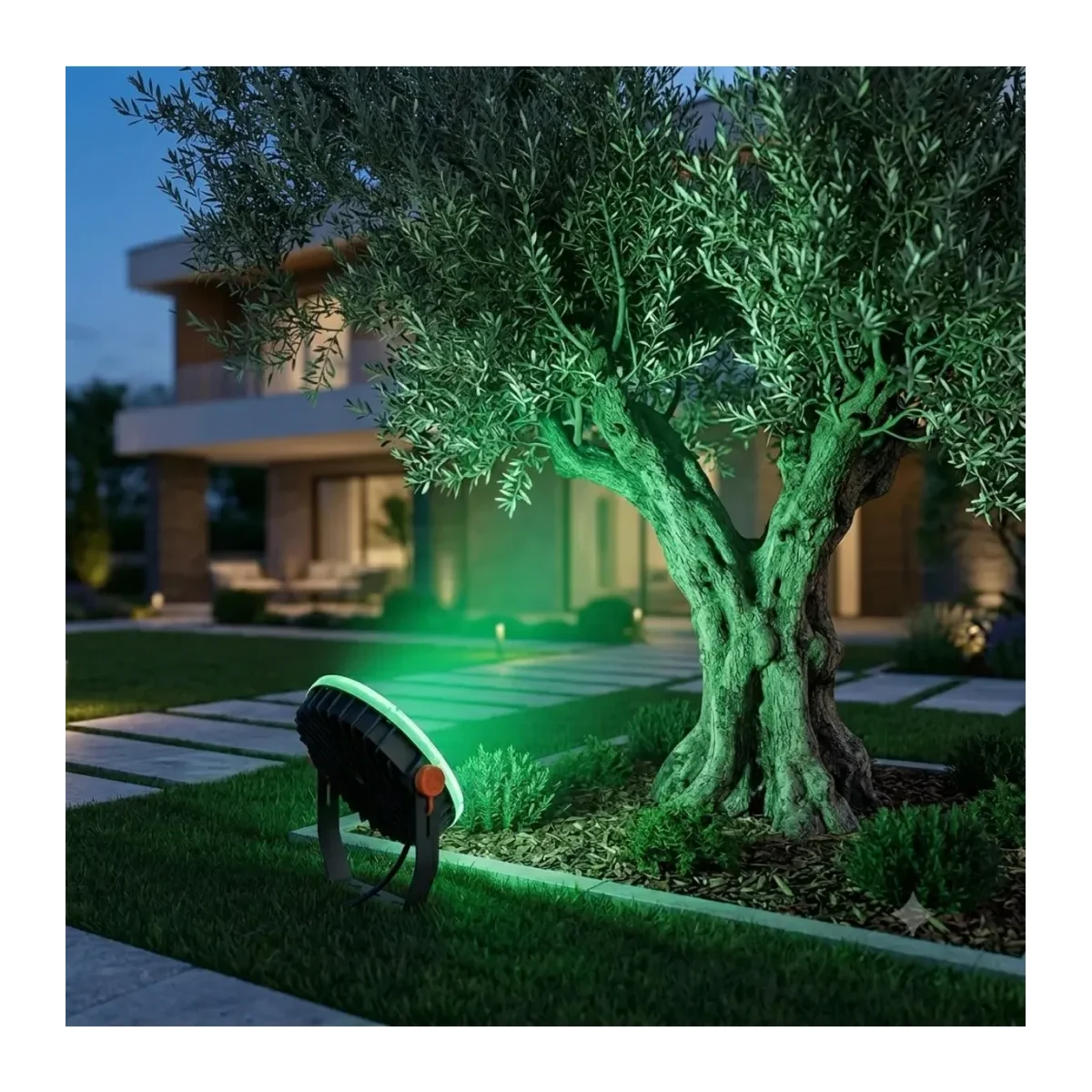 50W RGB LED Projektör