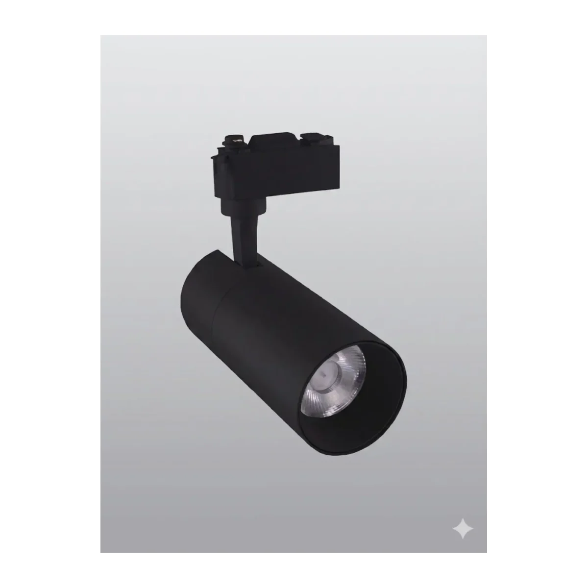 30W RAY SPOT SİYAH KASA 6500K